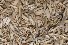 biomass boilers Grimpo